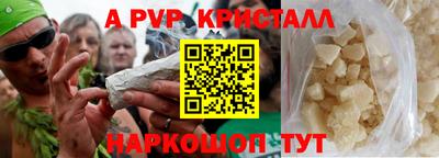 PSILOCYBIN Донской