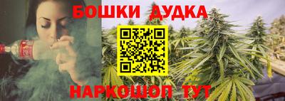 СК Дубна