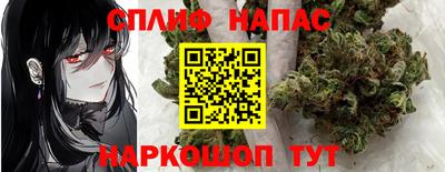 СК Дубна